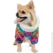  Pet Fashion AMAZE M (4823082423286)