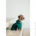 Pet Fashion  Berry XS2   (4823082437597)