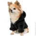  Pet Fashion  Black S (4823082435265)