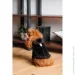  Pet Fashion  Black S (4823082435265)