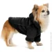  Pet Fashion  Black S (4823082435265)