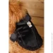  Pet Fashion  Black S (4823082435265)