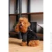  Pet Fashion  Black S (4823082435265)