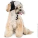 Pet Fashion  Bubo  ,  M  (4823082442423)