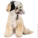 Pet Fashion  Bubo  ,  XS  (4823082442393)