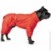  Pet Fashion COLD 6XL  (4823082426225)