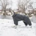 Pet Fashion  Cold    M2 (4823082426270)