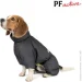  Pet Fashion COLD S2   (4823082426331)