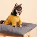  Pet Fashion Denis S  (4823082434640)