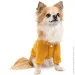  Pet Fashion Denis S  (4823082434640)