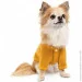  Pet Fashion Denis XS  (4823082434626)