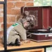 Pet Fashion EGO S2 (4823082431410)