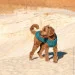  Pet Fashion E.Vest    (4823082424153)