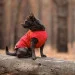 Жилет Pet Fashion E.Vest красный М (4823082424474) Жилет Pet Fashion E.Vest красный М (4823082424474)
