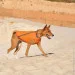  Pet Fashion E.Vest  L (4823082424337)