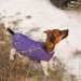  Pet Fashion E.Vest  XS-2 (4823082424207)