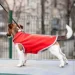  Pet Fashion FLEECY /  (4823082419685)