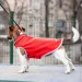  Pet Fashion FLEECY / S (4823082419678)