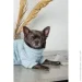  Pet Fashion  Fur S (4823082436057)