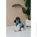 Pet Fashion  Grass XS (4823082435913)