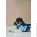 Pet Fashion  Grass XS (4823082435913)