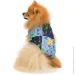 Pet Fashion  Grass XS (4823082435913)