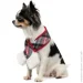    () Pet Fashion HAPPY M-XL (4823082423576)
