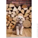 Pet Fashion  Hardy S   (4823082437528)