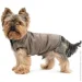 Pet Fashion  Hardy XL   (4823082437450)