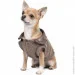  Pet Fashion Harry XS (4823082430093)