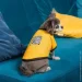 Pet Fashion  Jessica      XS (4823082441297)