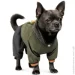 Pet Fashion  JIMI XS (4823082431502)