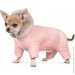  Pet Fashion JUDY  M (4823082428861)