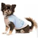  Pet Fashion Kris M (4823082434572)