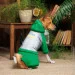  Pet Fashion LEAF   (4823082431472)