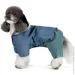 Pet Fashion  Mason L   (4823082443550)