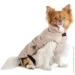 Pet Fashion  Mikki     (4823082443116)
