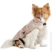 Pet Fashion  Mikki    XS (4823082443086)