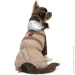 Pet Fashion  Mustang 2 (4823082435104)