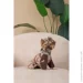 Pet Fashion  Mustang 2 (4823082435104)