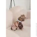 Pet Fashion  Mustang S2 (4823082435081)