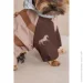 Pet Fashion  Mustang S2 (4823082435081)