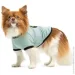 Pet Fashion  Oscar       M (4823082441341)