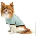 Pet Fashion  Oscar       XS2 (4823082441372)