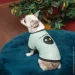 Pet Fashion  Oscar       XS2 (4823082441372)