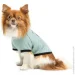 Pet Fashion  Oscar       XS (4823082441389)
