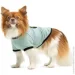 Pet Fashion  Oscar       XXS (4823082441402)