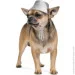  Pet Fashion PARTY  XS (4823082423187)