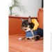 Pet Fashion  Poppy XS   (4823082438471)