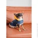 Pet Fashion  Poppy XS   (4823082438471)